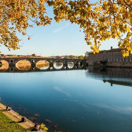 Appartement Moderne Renove Centre Toulouse